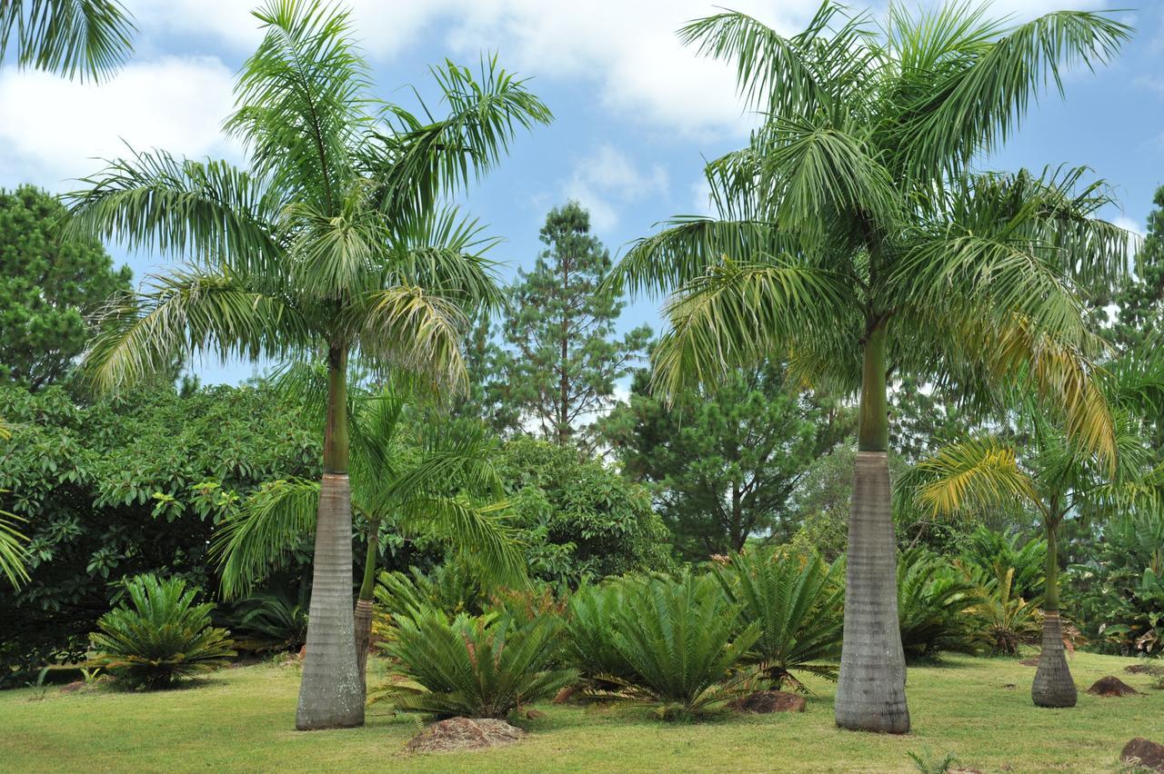 Summerfield Botanical Garden & Exclusive Resort Matsapha 외부 사진